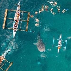 PHILIPPINES: MANILA - CEBU - BIỂN ĐẢO THUẦN KHIẾT