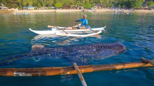 PHILIPPINES: MANILA – CEBU – BIỂN ĐẢO THUẦN KHIẾT