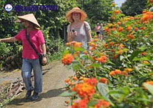 Tour Mekong 1.1: Vĩnh Long – Cù Lao An Bình