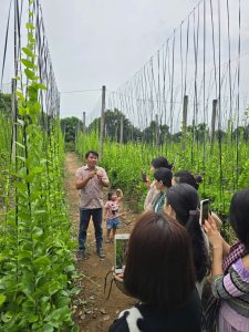 ( MK16 ) – BEN TRE – TAM HIỆP ISLAND – BEN TRE