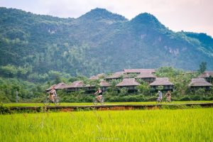 Tour Mai Châu Cao Cấp Trong Ngày – Đèo Thung Khe & Thung Lũng Hòa Bình