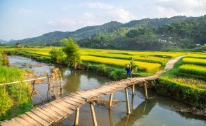 Tour Cao Cấp 3N2Đ: Mai Châu – Pù Luông – Tam Cốc – Hoa Lư