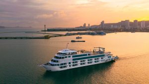 AMBASSADOR CRUISE