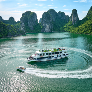 Du Ngoạn Vịnh Hạ Long & Bái Tử Long Trên Du Thuyền Cao Cấp