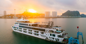 AMBASSADOR CRUISE