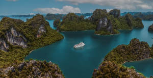 AMBASSADOR CRUISE