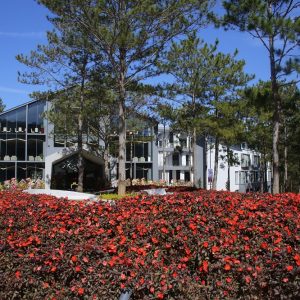 Terracotta Hotel & Resort Dalat