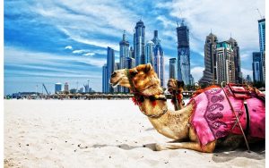 Visa DUBAI