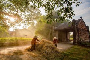 Khám Phá Làng Nghề Bắc Bộ – Làng Hương Quảng Phú Cầu & Làng Cổ Đường Lâm