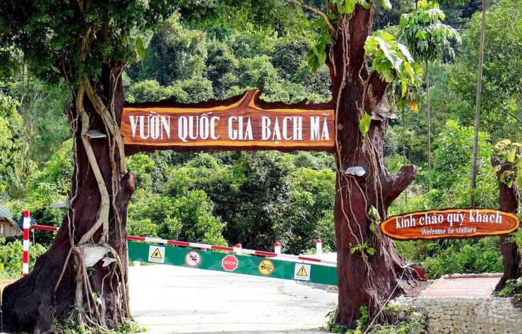 TOUR TREKKING BẠCH MÃ – RỪNG NGUYÊN SINH & NGŨ HỒ