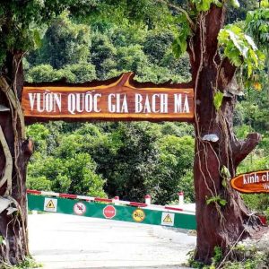 TOUR TREKKING BẠCH MÃ - RỪNG NGUYÊN SINH & NGŨ HỒ