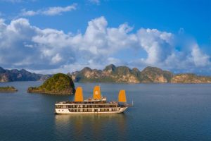 PEONY CRUISE