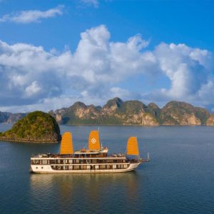 PEONY CRUISE