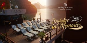 PEONY CRUISE