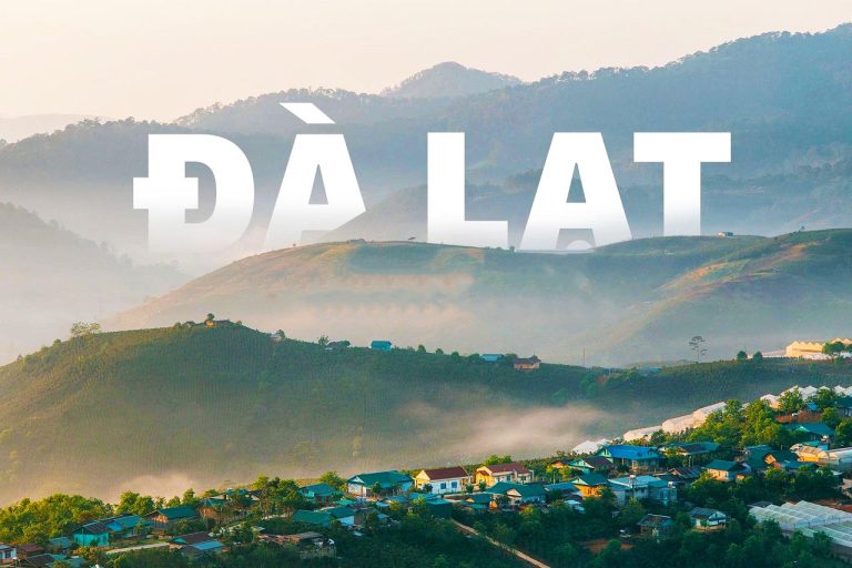 ĐÀ LẠT TRỒNG RỪNG 4N3Đ – CHẠM ĐÀ LẠT – GIEO MẦM XANH