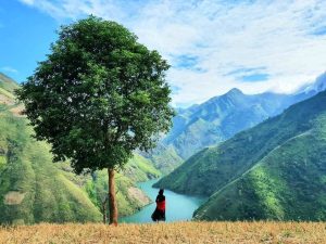 ĐẮM MÌNH VÀO BIỂN MÂY TÀ XÙA & SUỐI KHOÁNG TRẠM TẤU 4N3Đ
