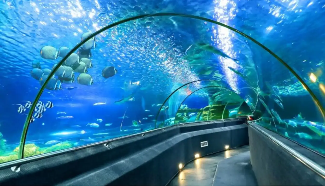 Tour Nha Trang tham quan viện hải dương học