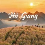 TOUR HÀ GIANG – NƠI “ĐÁ CŨNG NỞ HOA”