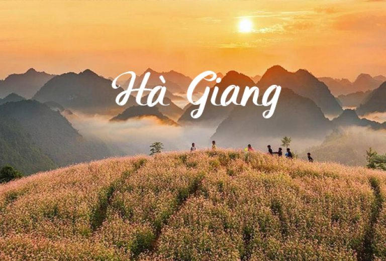 TOUR HÀ GIANG – NƠI “ĐÁ CŨNG NỞ HOA”